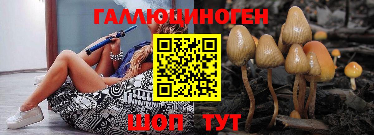 Галлюциногенные грибы Psilocybe Электросталь